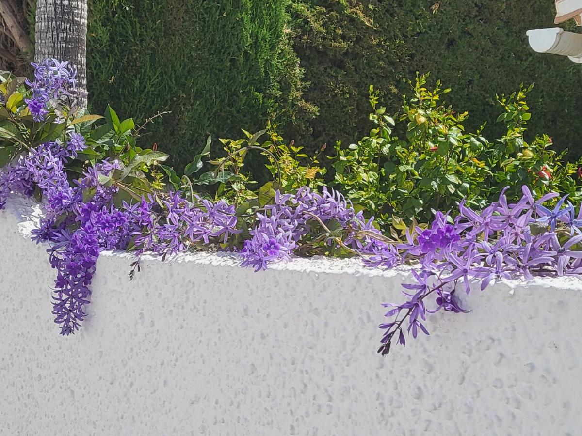 Romantic White Villa -Private Pool Nerja Exterior photo